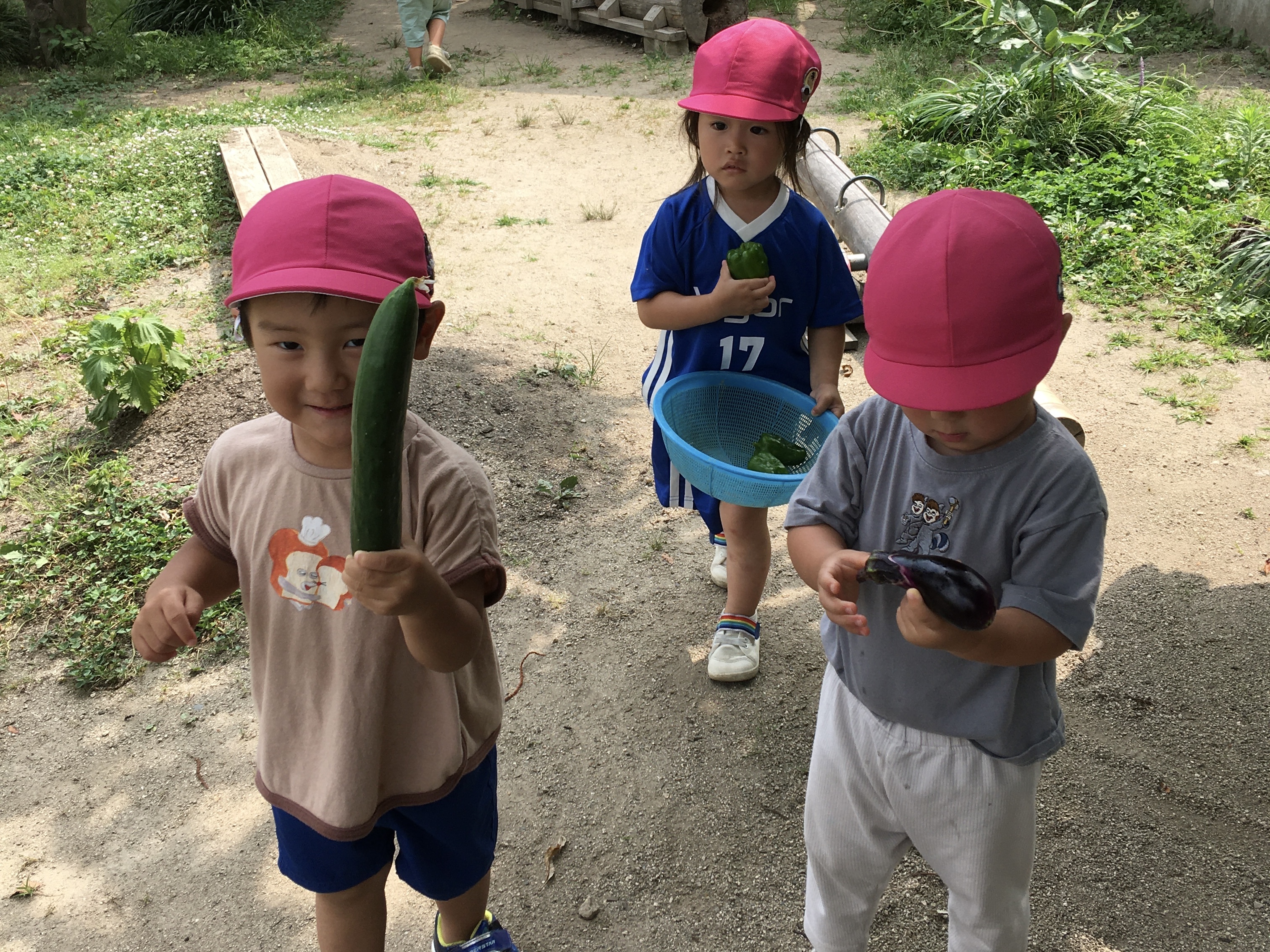 野菜５