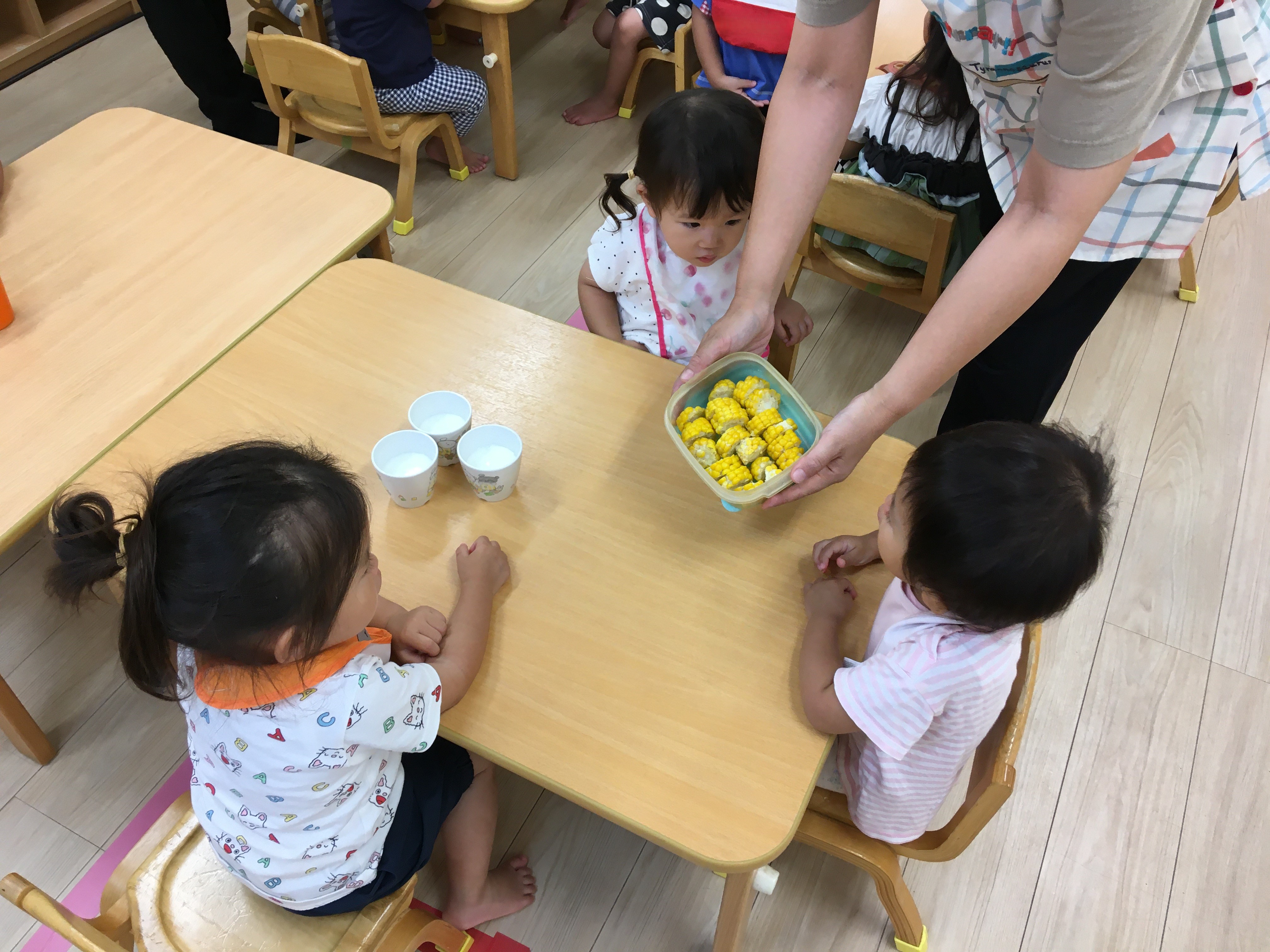野菜１７