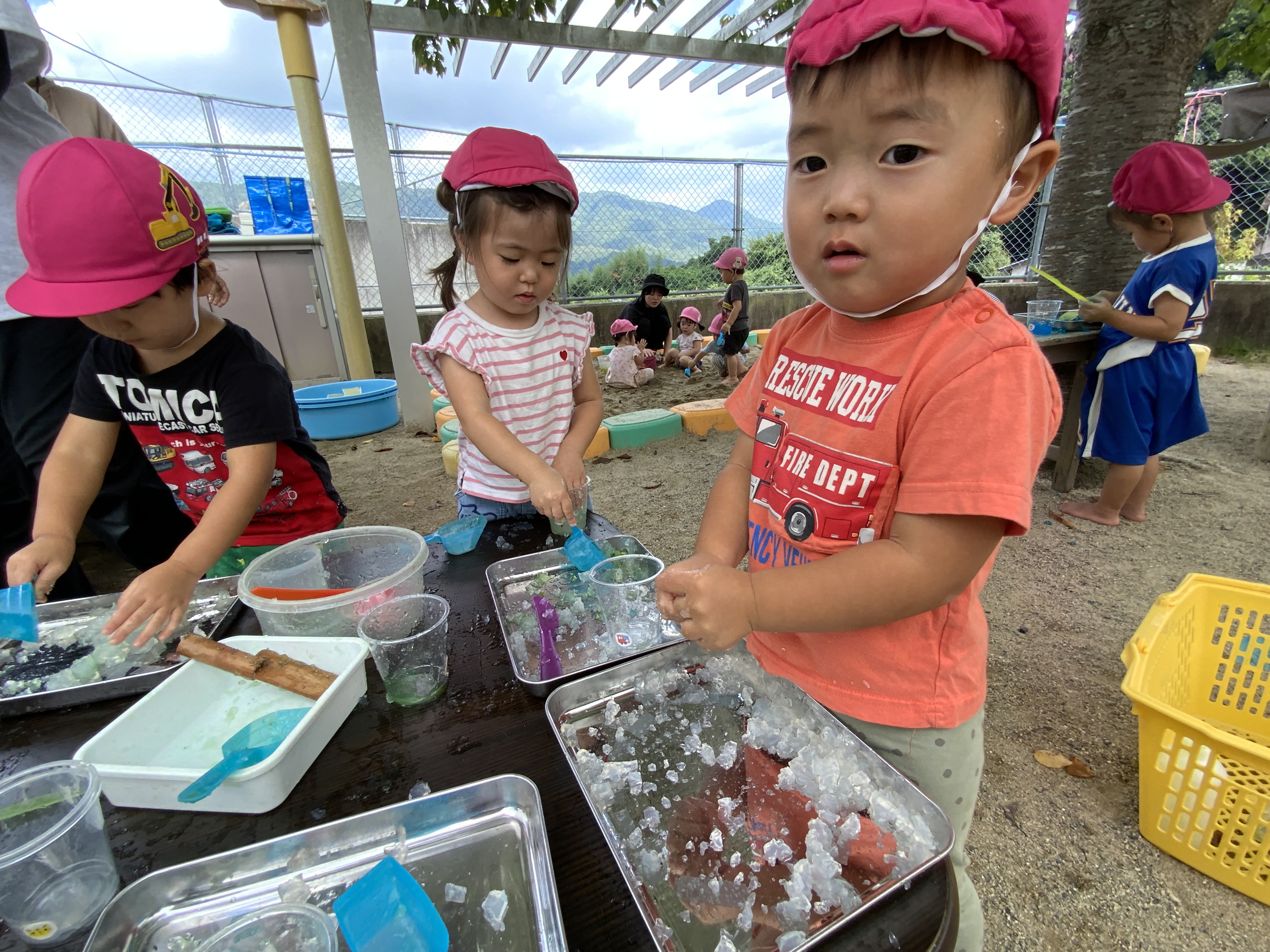 さくらぐみ | ルンビニ保育園 | ブログ | 広島市安芸区中野の丘の上