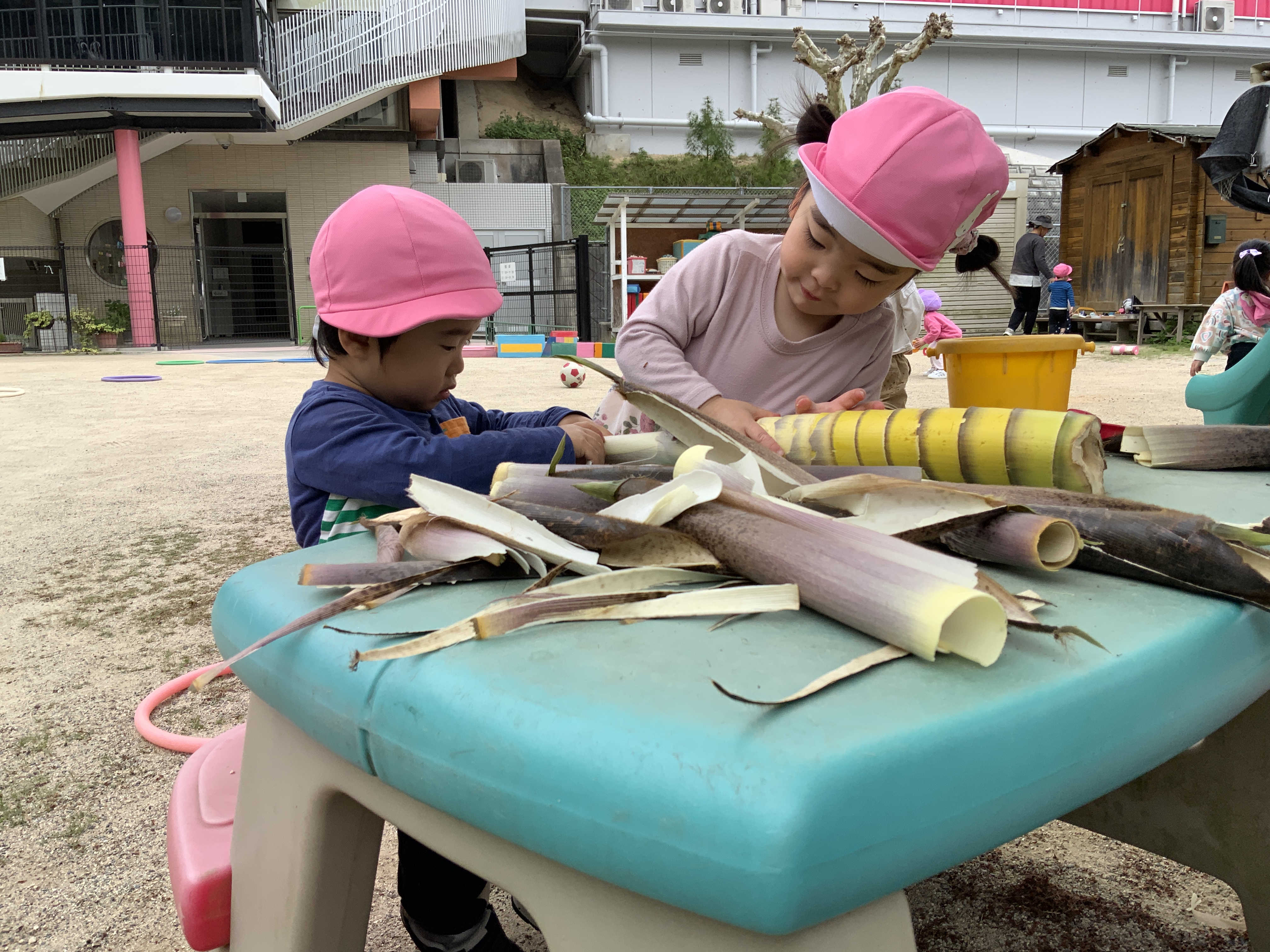 さくらぐみ | ルンビニ保育園 | ブログ | 広島市安芸区中野の丘の上