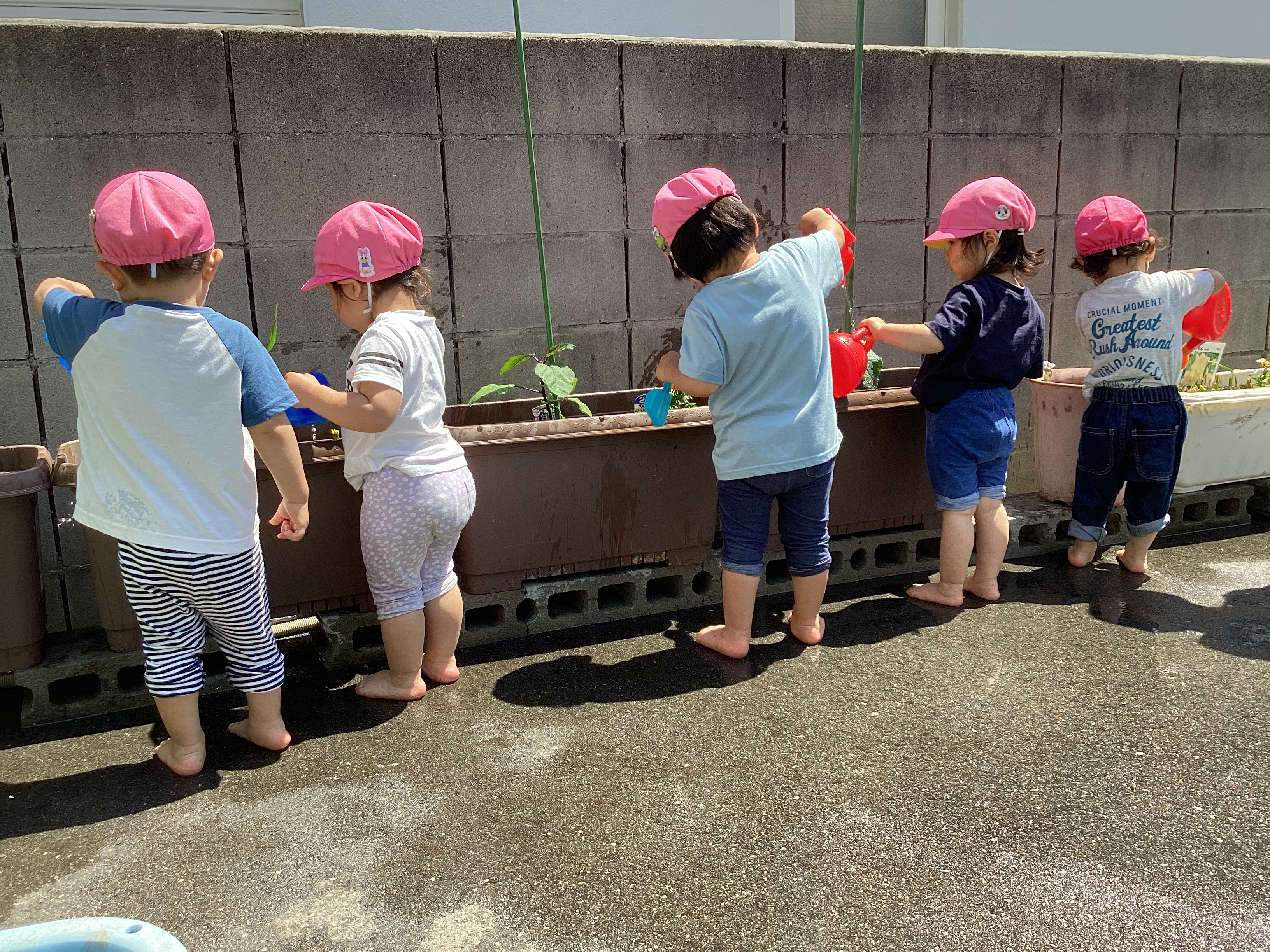 IMG_2434(3)