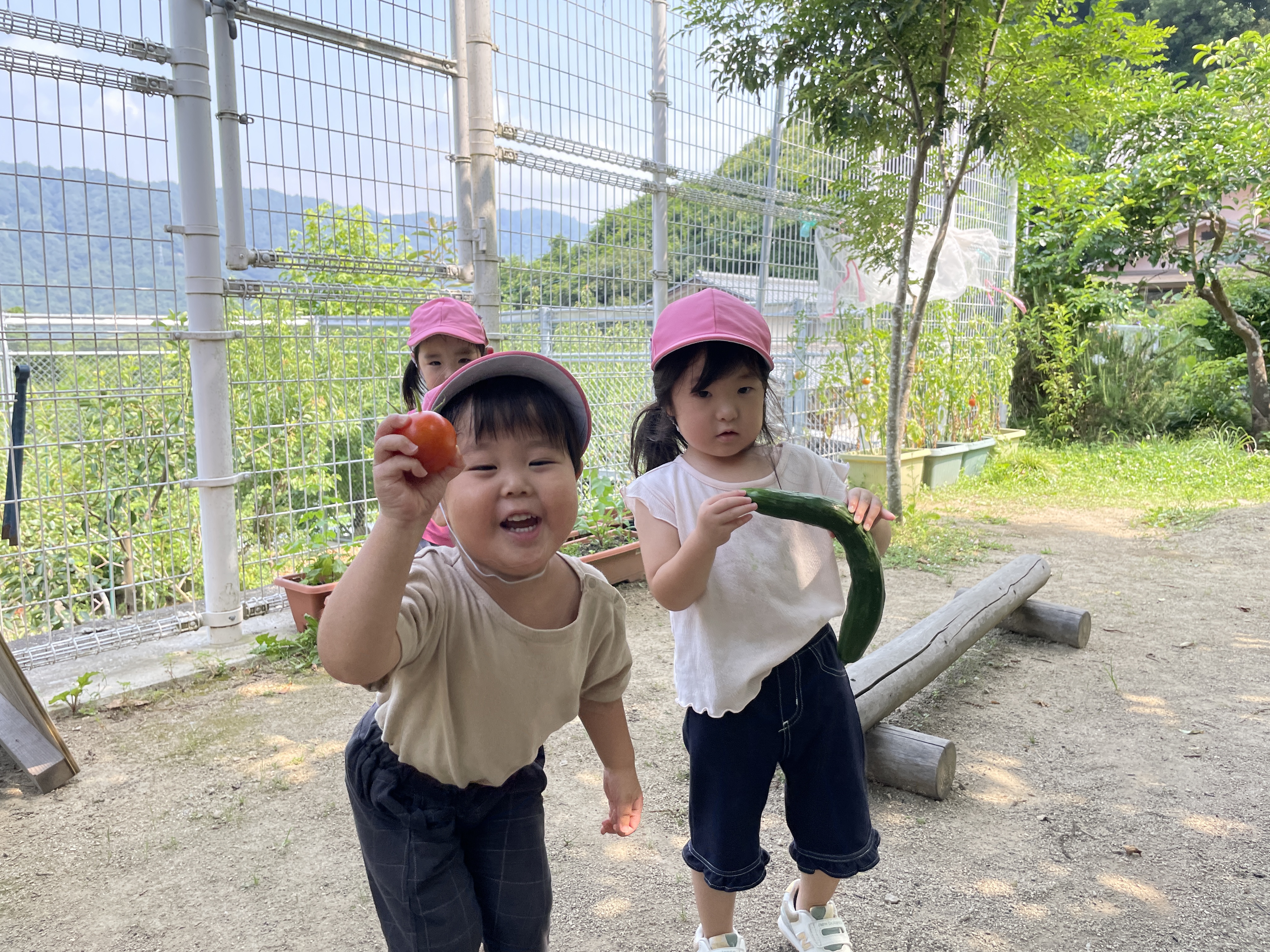 IMG_0525