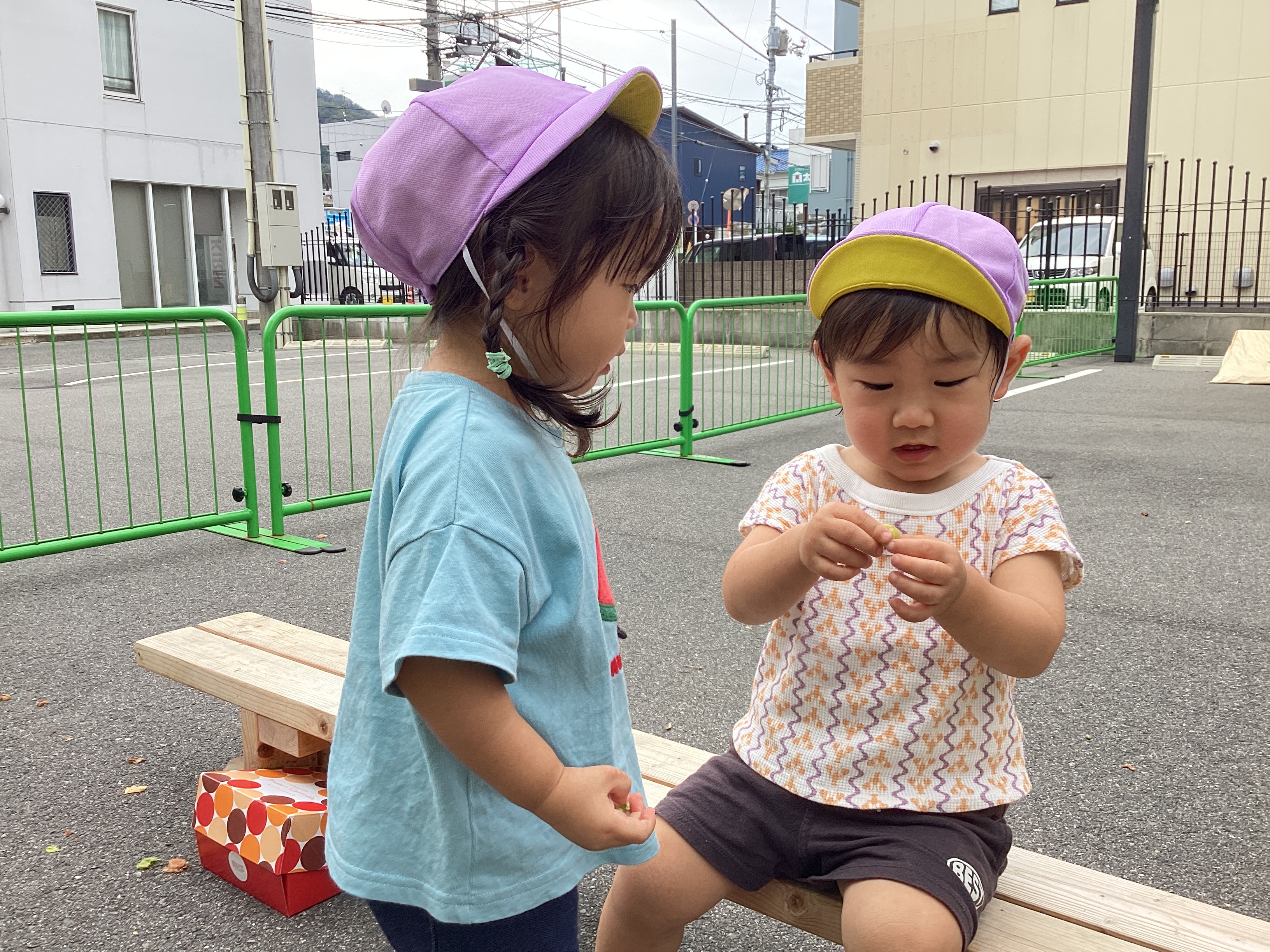 IMG_6055[1]
