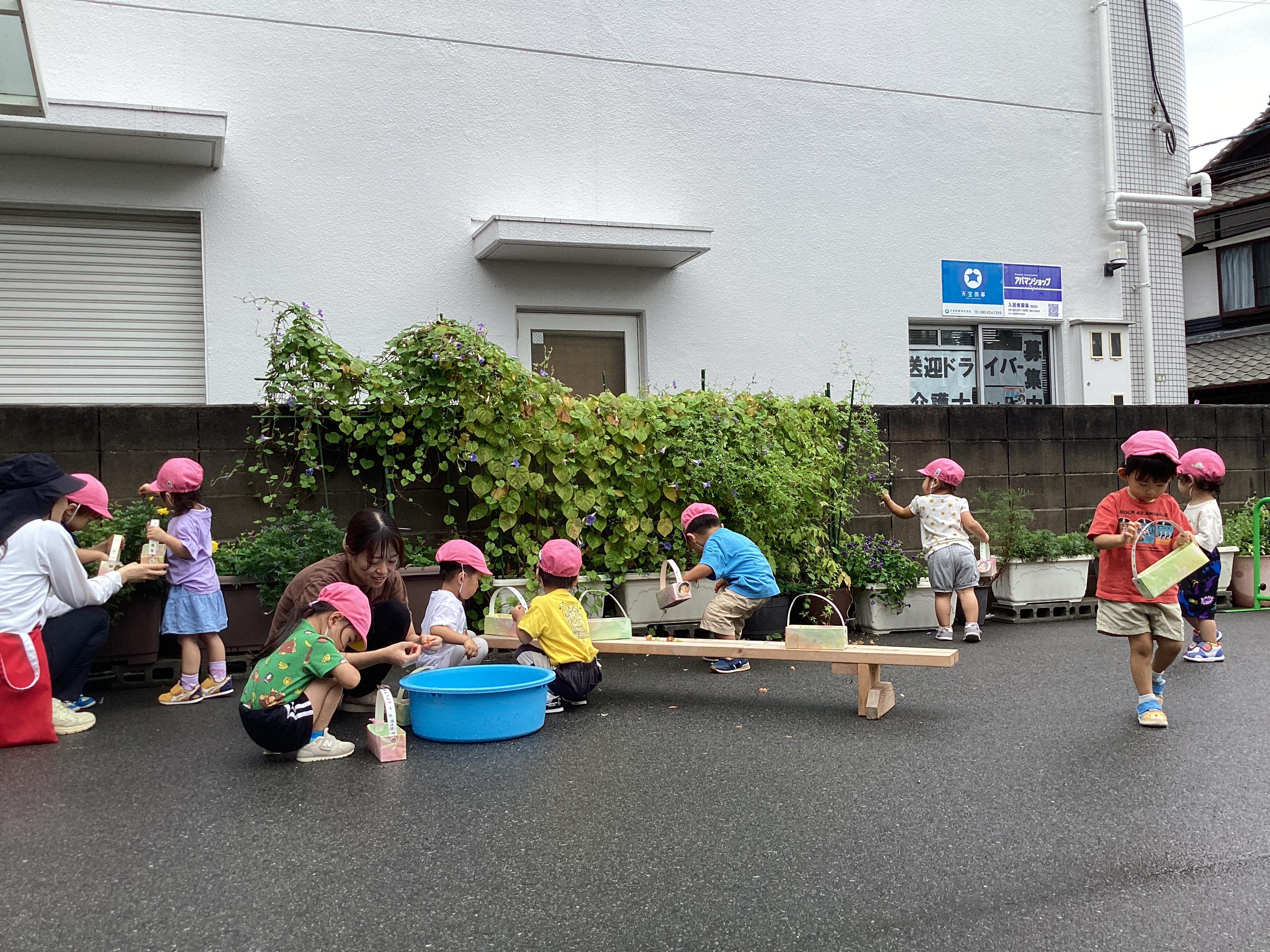 IMG_5951[1]