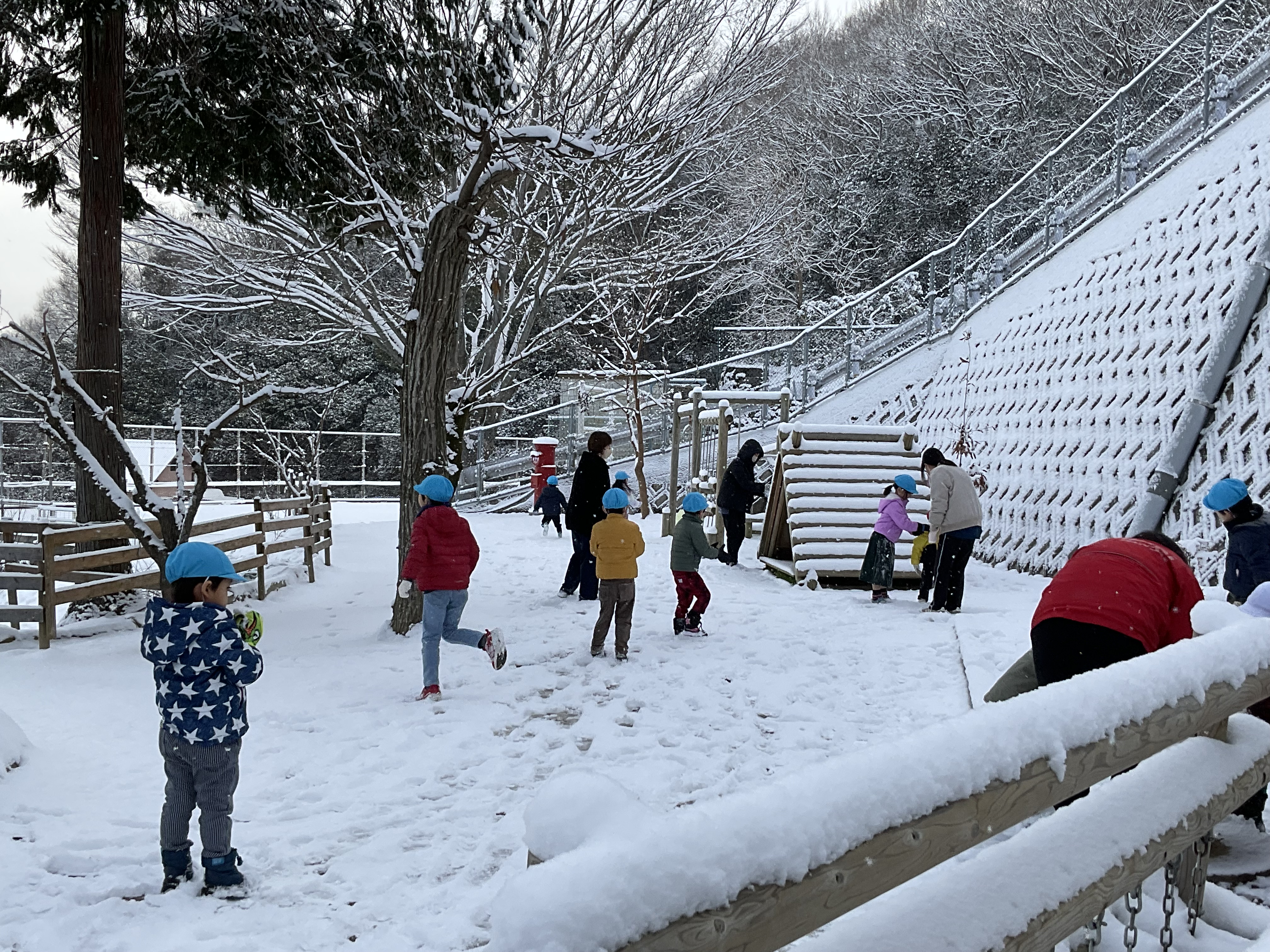 自然教材画像02