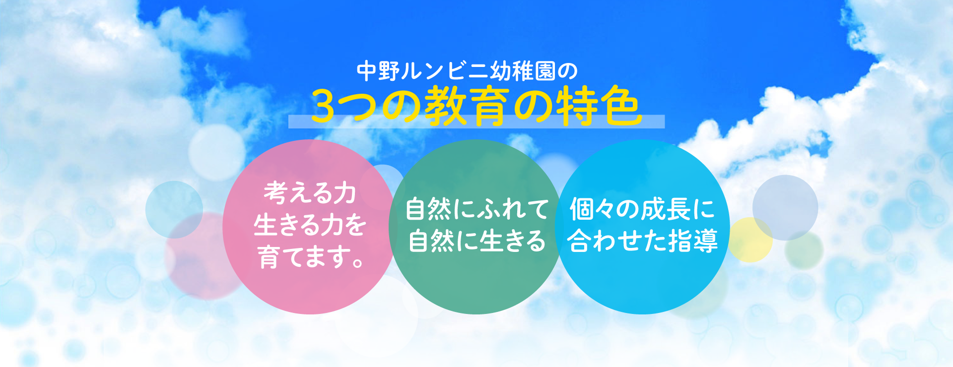 03.jpg